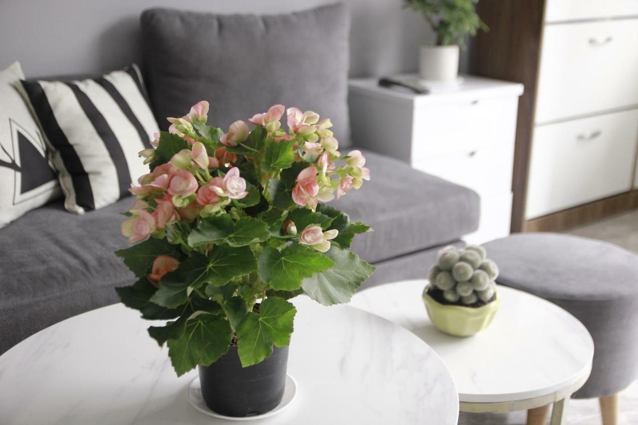 فندق Grey House دالات المظهر الخارجي الصورة